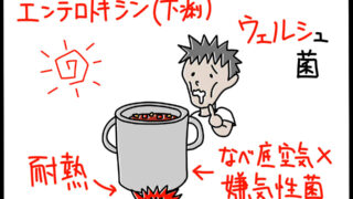 ウェルシュ菌の特徴を暗記できるゴロイラスト